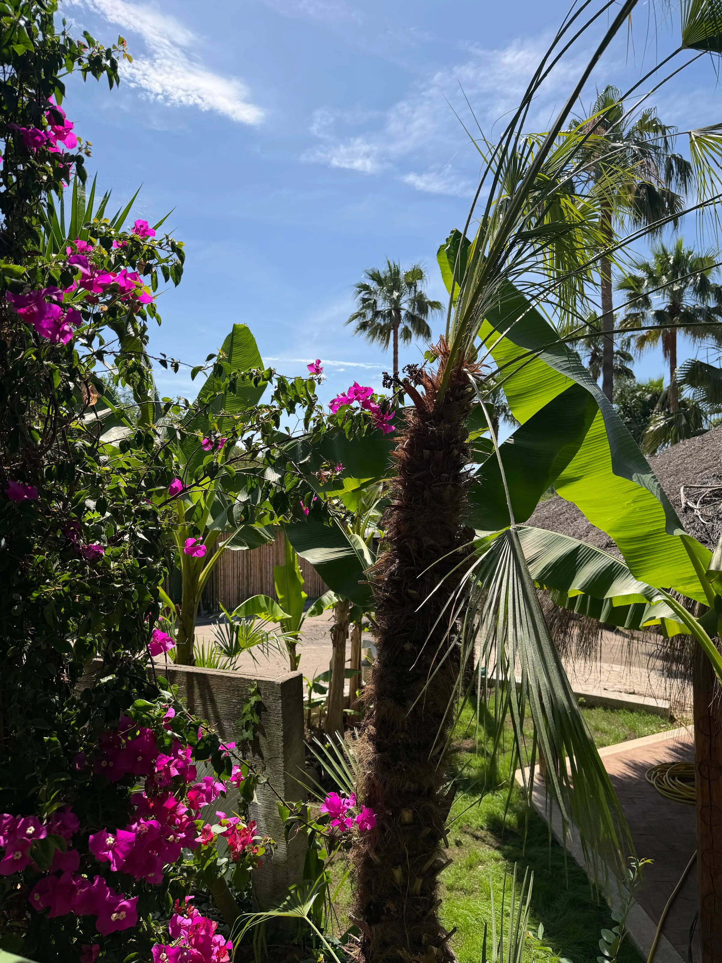 Colomba Tropical Garden — 3