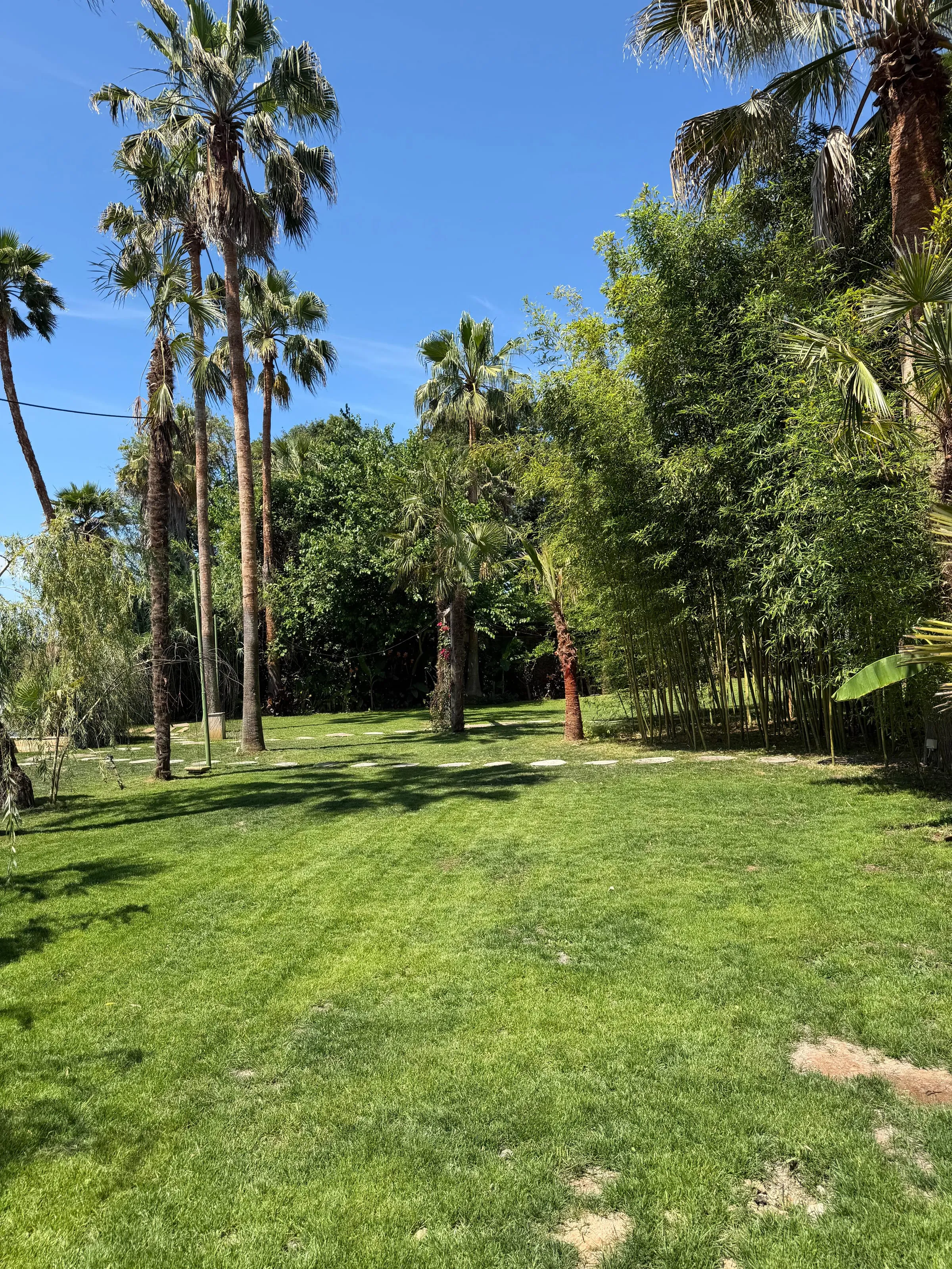 Il giardino tropicale della Colomba