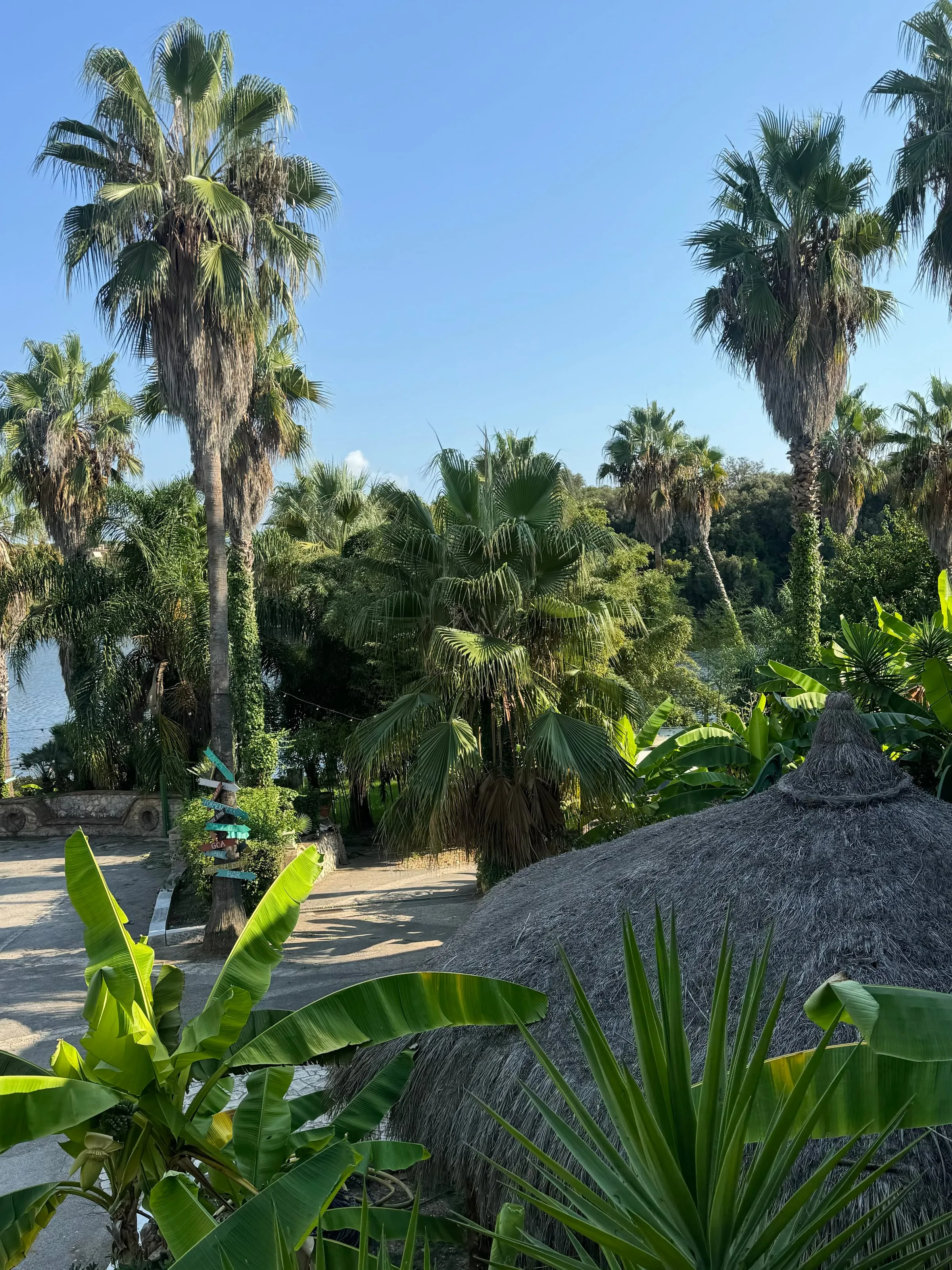 Colomba Tropical Garden — 1